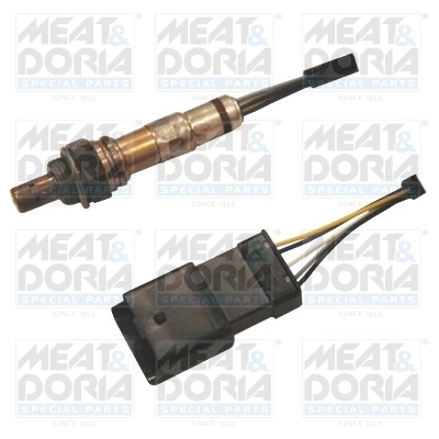 Oxygen Sensor